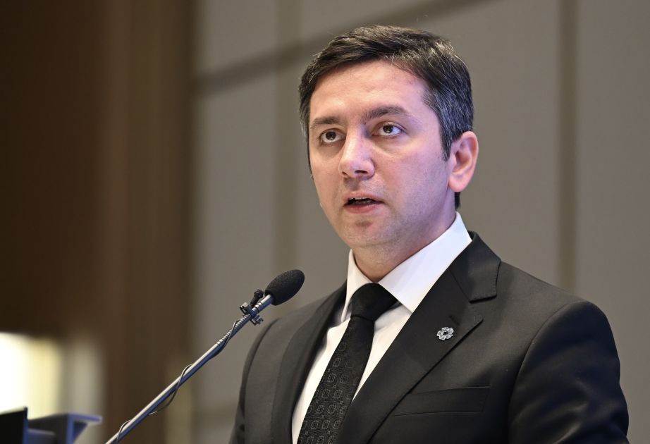Deputy Minister: Azerbaijani education policy aims at int'l competitiveness and social equality
