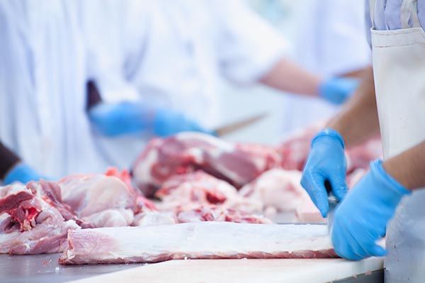Baku imposes temporary ban on animal imports from several countries