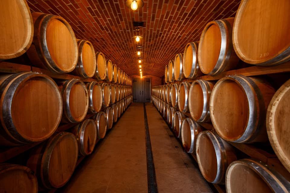 Georgia halves supply of wine to Russia
