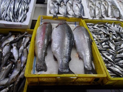 State Tax Service discusses support for aquaculture sector