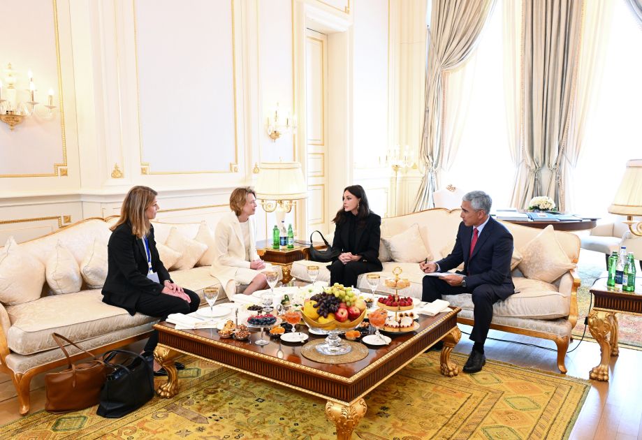 First Lady Mehriban Aliyeva meets First Lady of Germany [VIDEO]