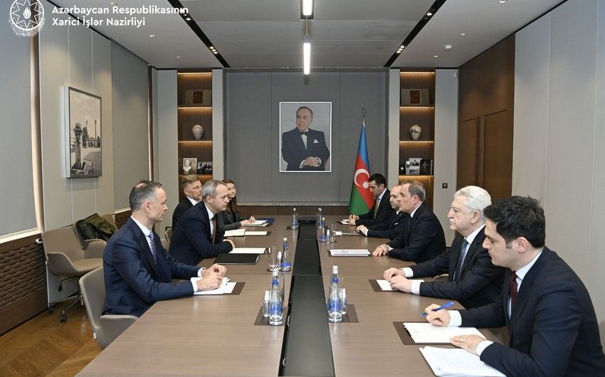 Baku, Vilnius Discuss Regional Security, Economic Cooperation [PHOTOS]