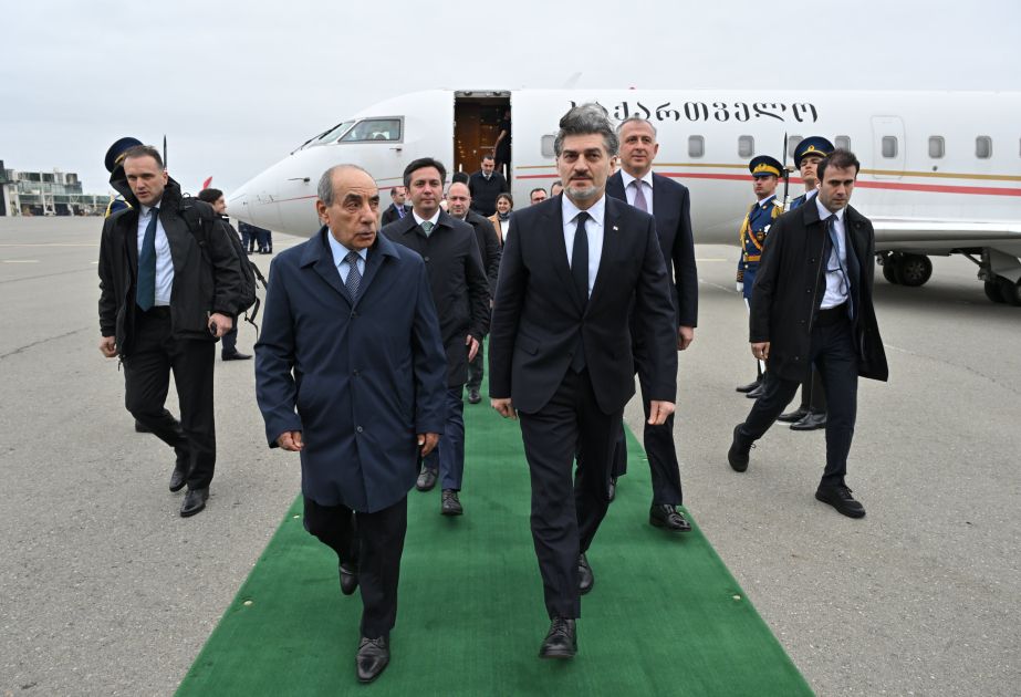 Georgian President arrives on official visit to Azerbaijan [PHOTOS]