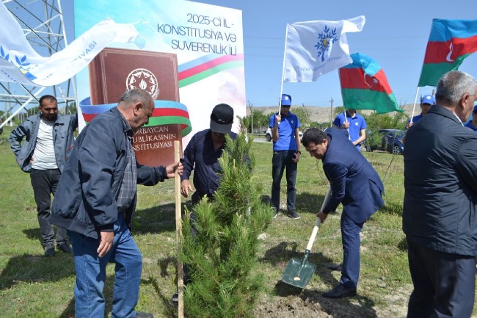 Another tree planting campaign held in Mingachevir [PHOTOS]