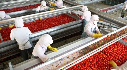 Azerbaijan exports over 35,000 tons of tomatoes as trade turnover declines