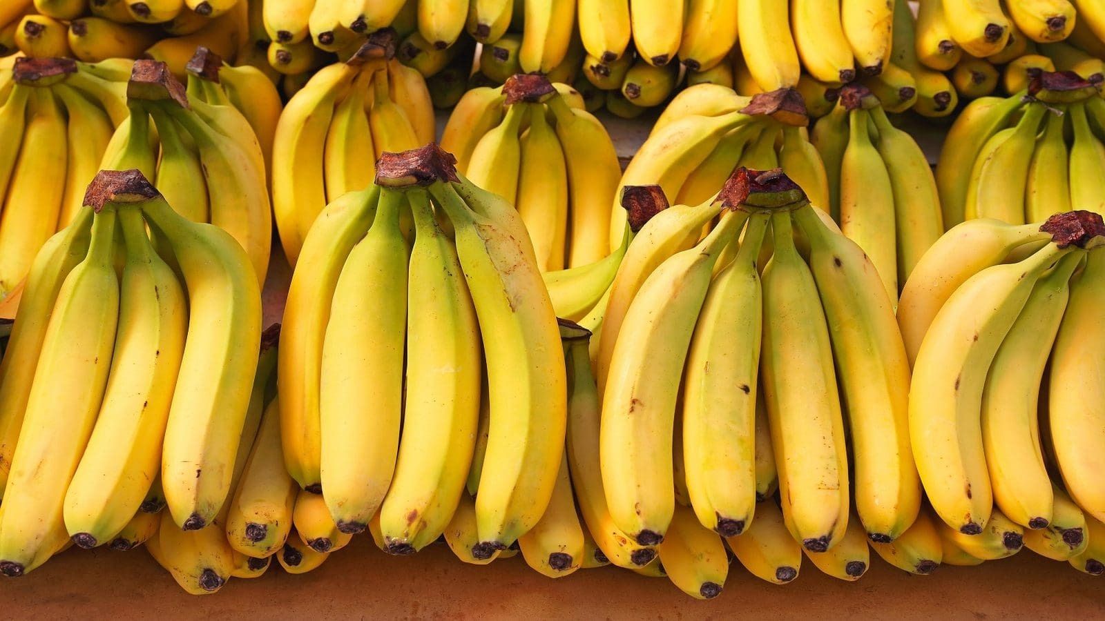 Azerbaijan reveals amount of imported bananas in Jan-Feb 2025