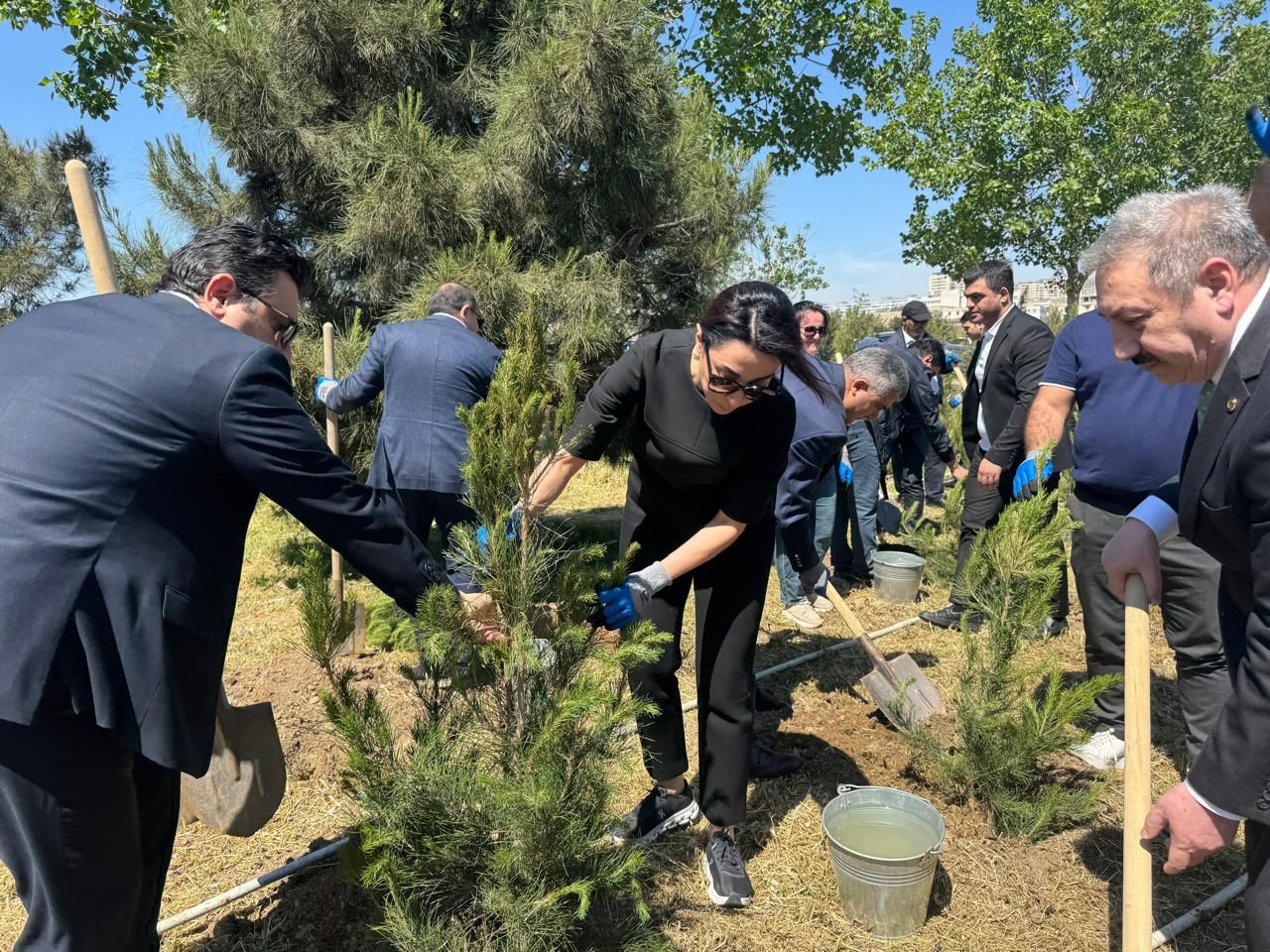 Trees planted in Baku to honor National Leader Heydar Aliyev’s legacy