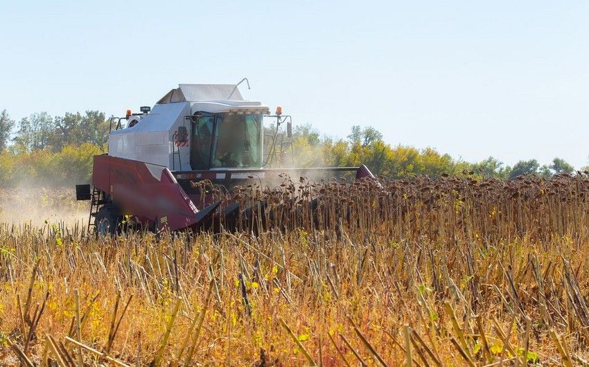 Russian firms eye Azerbaijan market at upcoming agro-food exhibitions