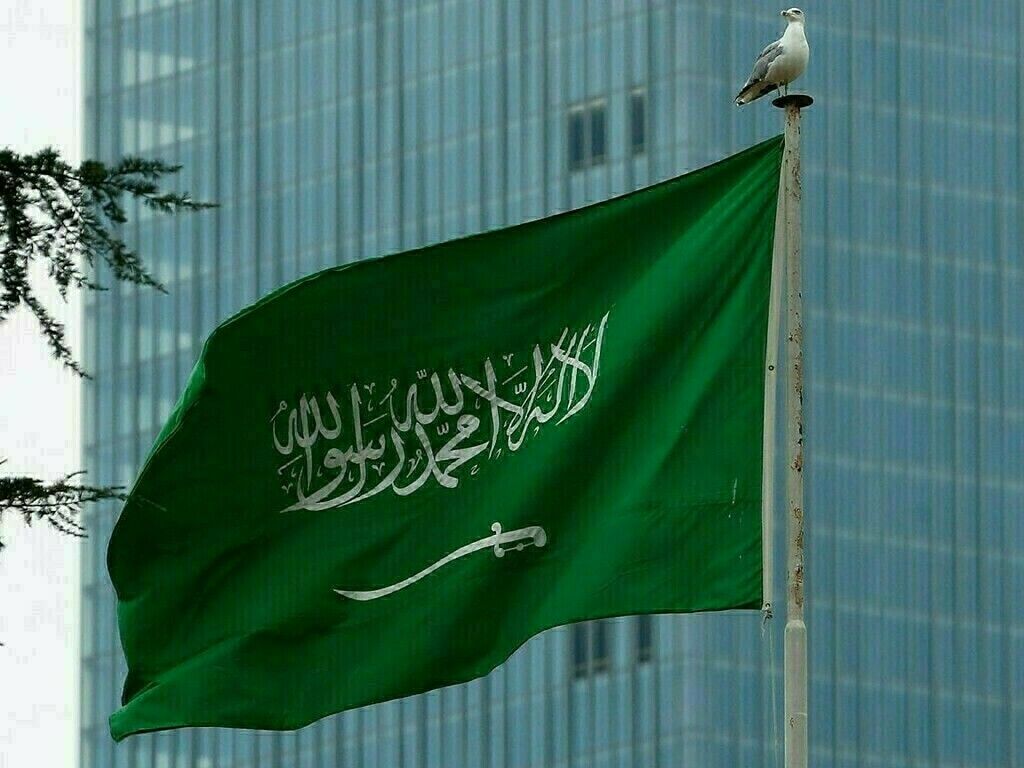 Saudi Arabia launches company to develop artificial intelligence under PIF