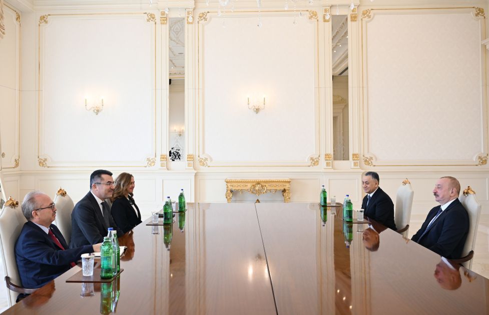President Ilham Aliyev receives Türkiye's National Security Council SecGen [PHOTO]