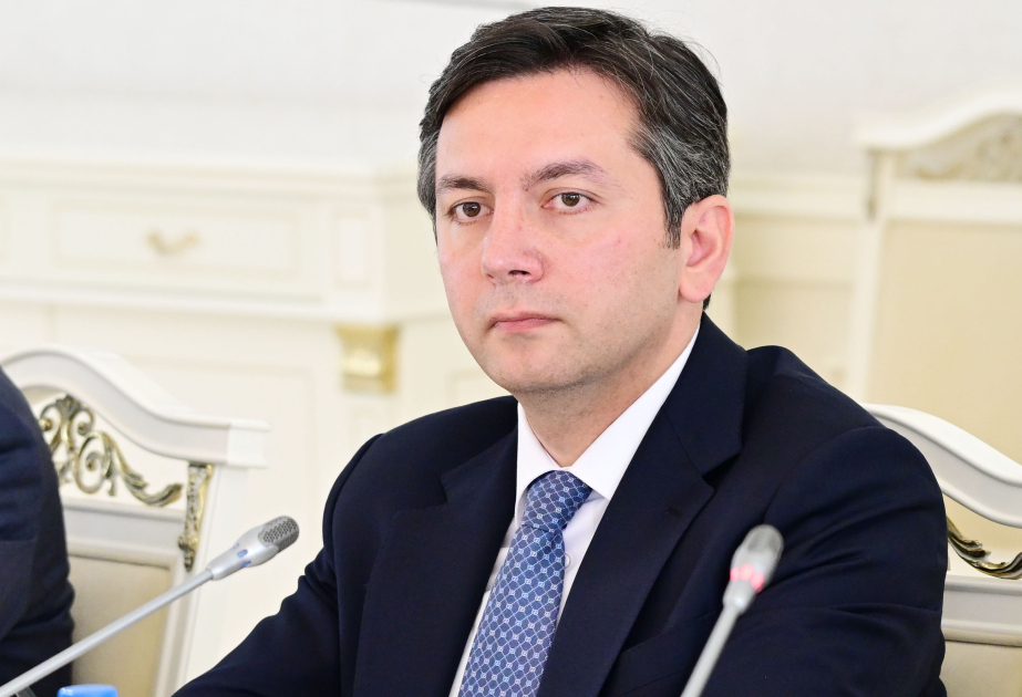 Azerbaijan aims to maintain its active role in global multilateralism, says Deputy FM