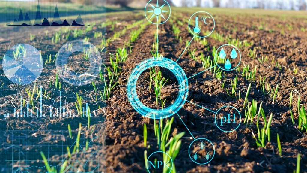 Ministry launches AI collaboration for farming innovation