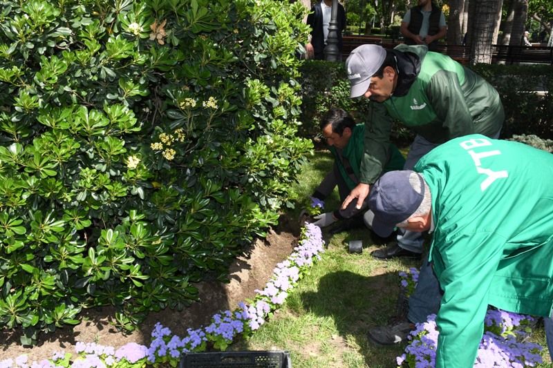 Baku conducts citywide cleanup ahead of summer season [PHOTOS]