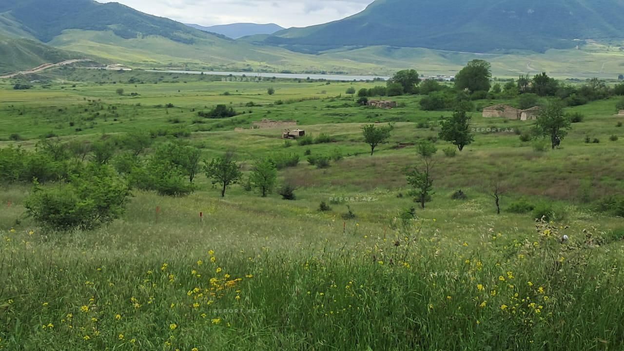 Slider Image 1