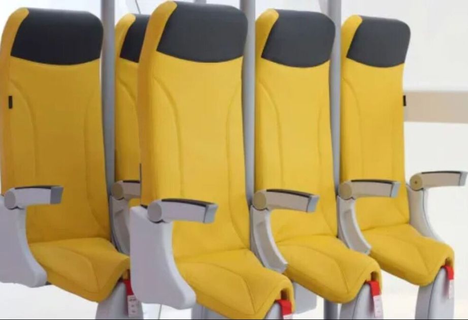 Low-cost airlines may start offering standing room as early as next year
