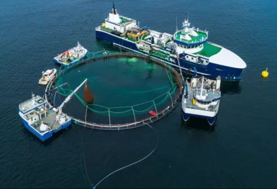 China build world's first salmon farming vessel