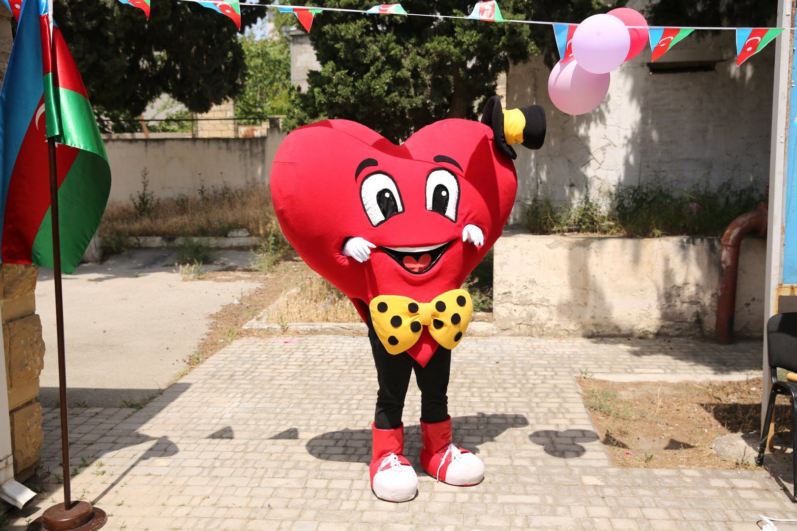 Slider Image 1