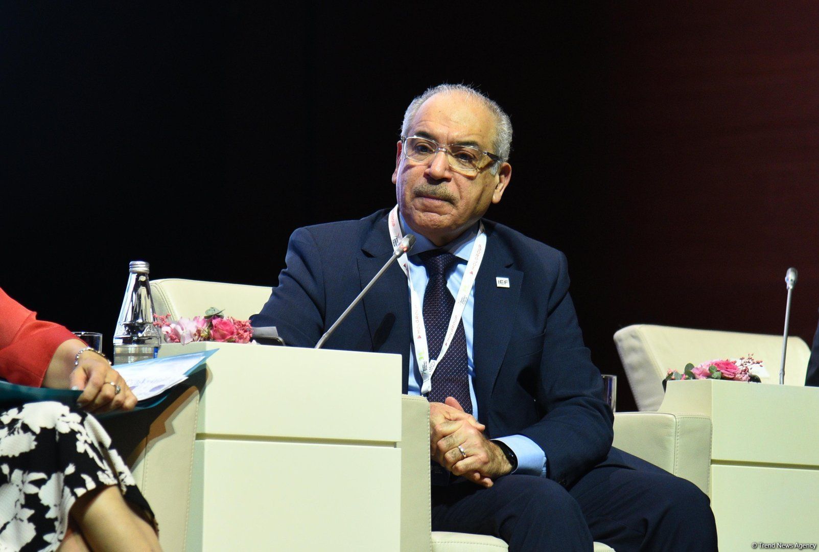 IEF chief calls for more clean energy investment in developing countries