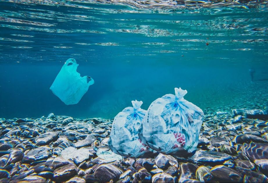 Japanese scientists develop plastic that can be dissolved in seawater in matter of hours