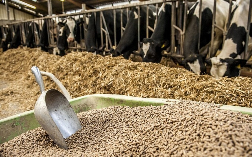 Azerbaijan increase imports of veterinary products from Russia