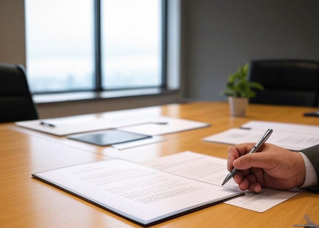 Number of registered taxpayers in Azerbaijan rises
