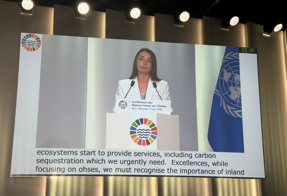 Azerbaijan highlights key marine conservation efforts at UN Ocean Conference