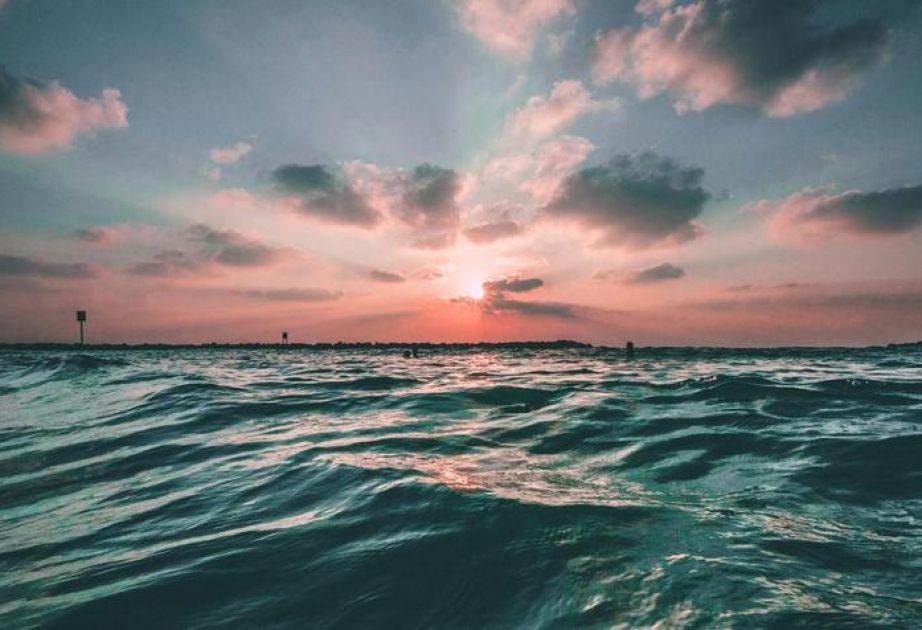 World’s Ocean surface temperature hits 2nd highest level ever recorded