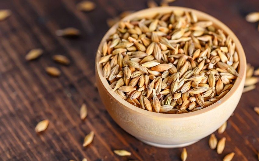 Barley harvest nears one-third completion across Azerbaijan