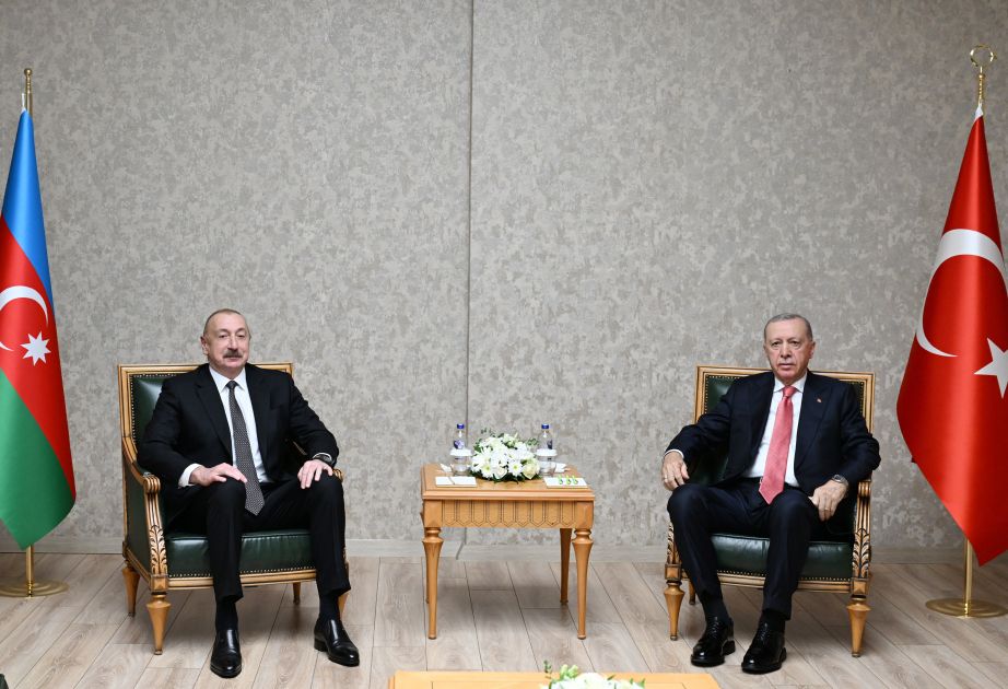President of Azerbaijan Ilham Aliyev met with President of Türkiye Recep Tayyip Erdoğan in Kahramanmaraş [VIDEO]