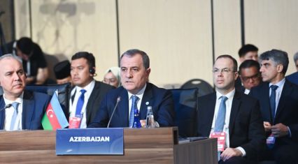 Azerbaijan expresses concern over Middle East security at OIC emergency session