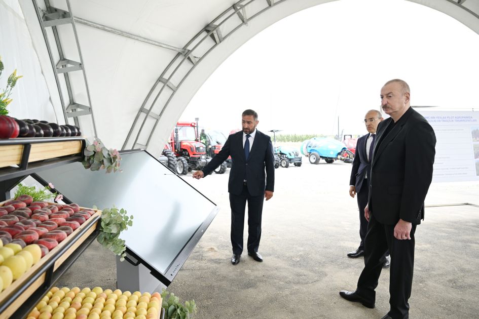 President Ilham Aliyev attends opening of Yevlakh pilot agricultural park [PHOTOS]