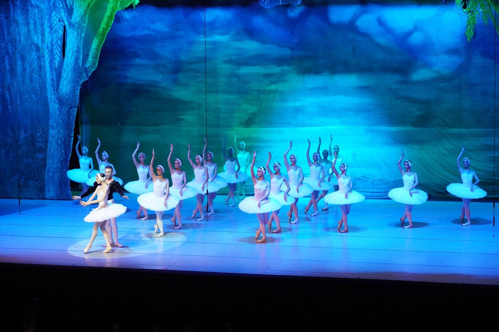Heydar Aliyev Palace transforms into 'Swan Lake' [PHOTOS]
