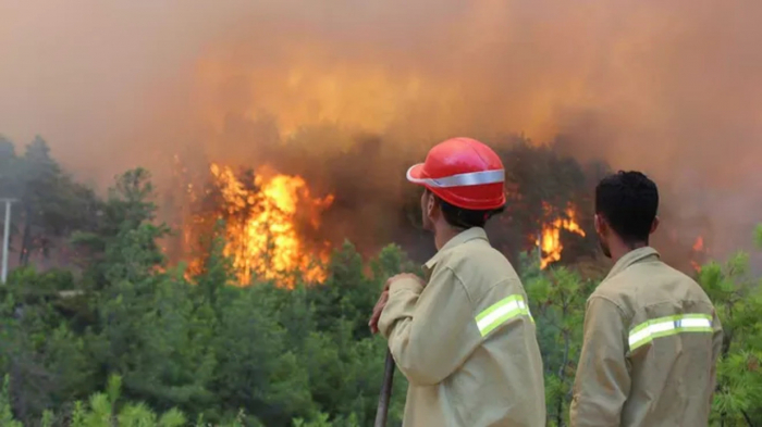 Türkiye bans access to forests in 47 provinces amid wildfire risk