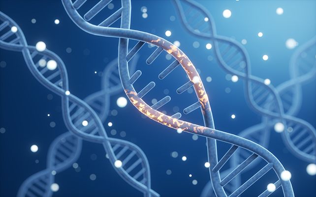 Early signs of cancer found in patient blood three years before diagnosis