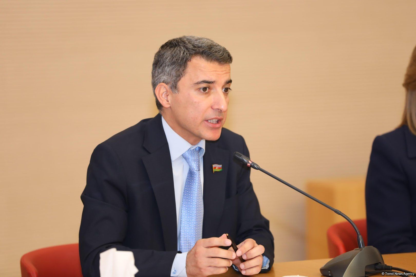 Biased policy is being carried out against Azerbaijan - MP on events in Russia