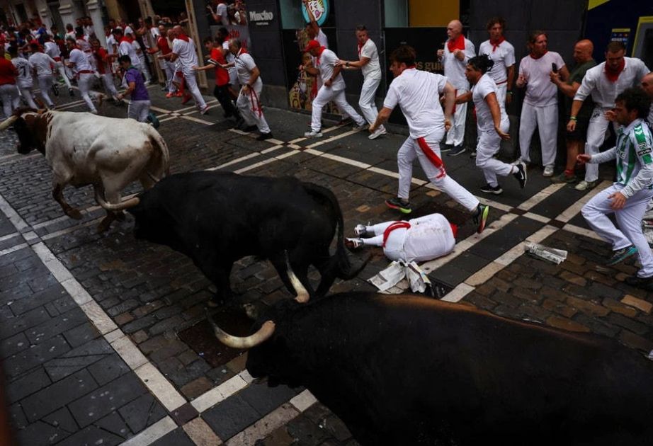 One seriously injured during 2nd day of Bull Run at San Fermín Festival