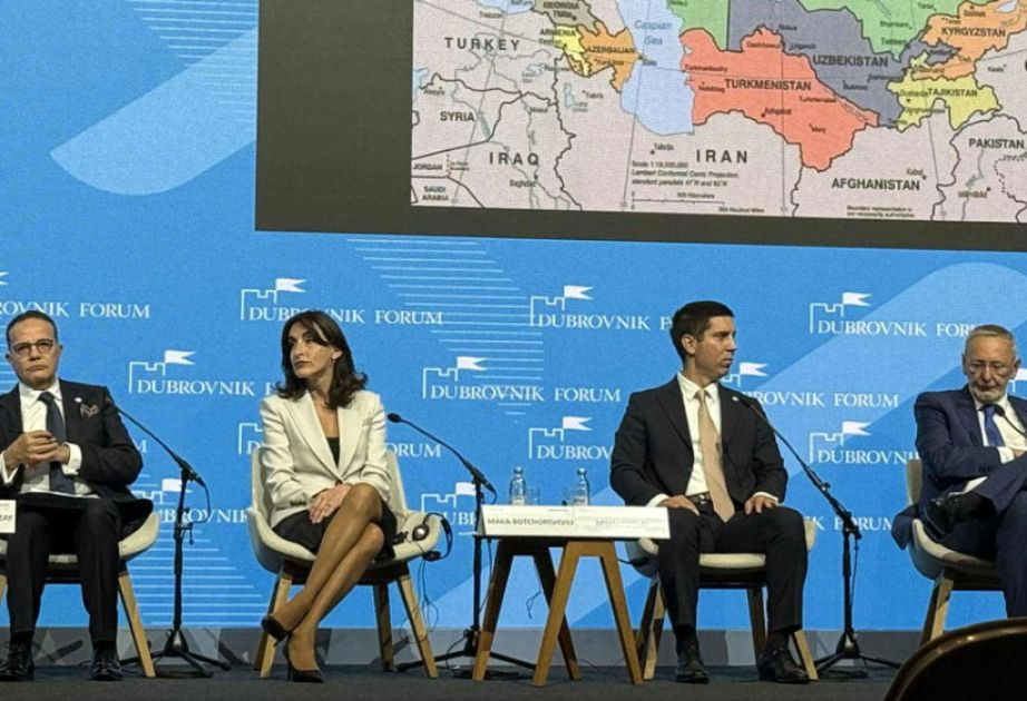 Maka Bochorishvili: Azerbaijan, Turkiye, and Georgia play key role in region’s development