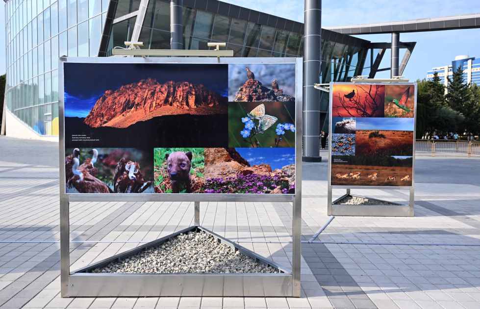 Slider Image 1