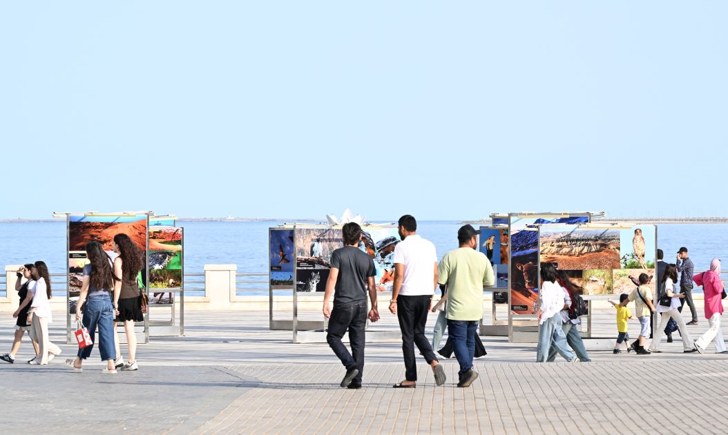Slider Image 1