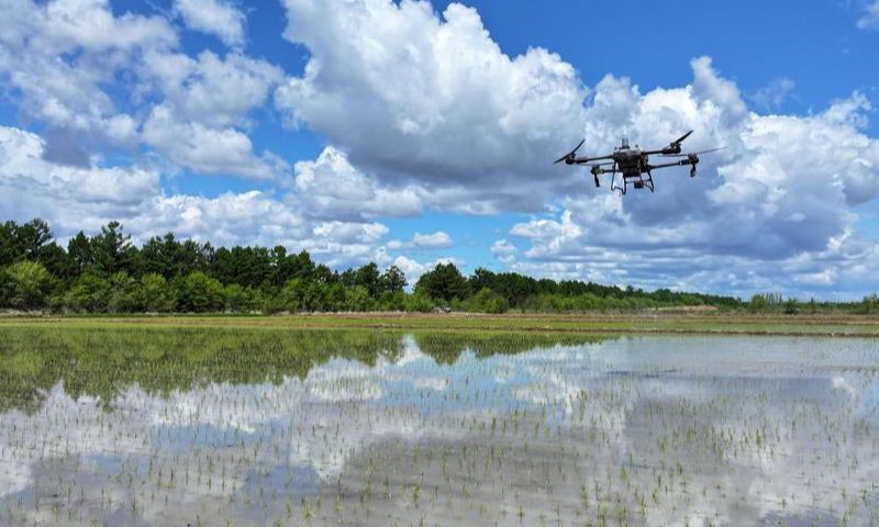 China reports steady progress in agricultural green development