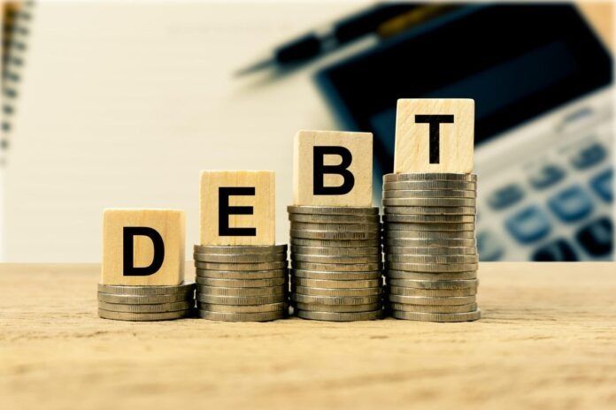 Overview of external government debt holdings by public entities