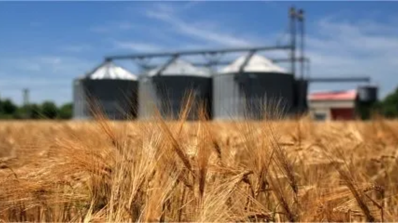 Azerbaijan builds food security through regional transport links