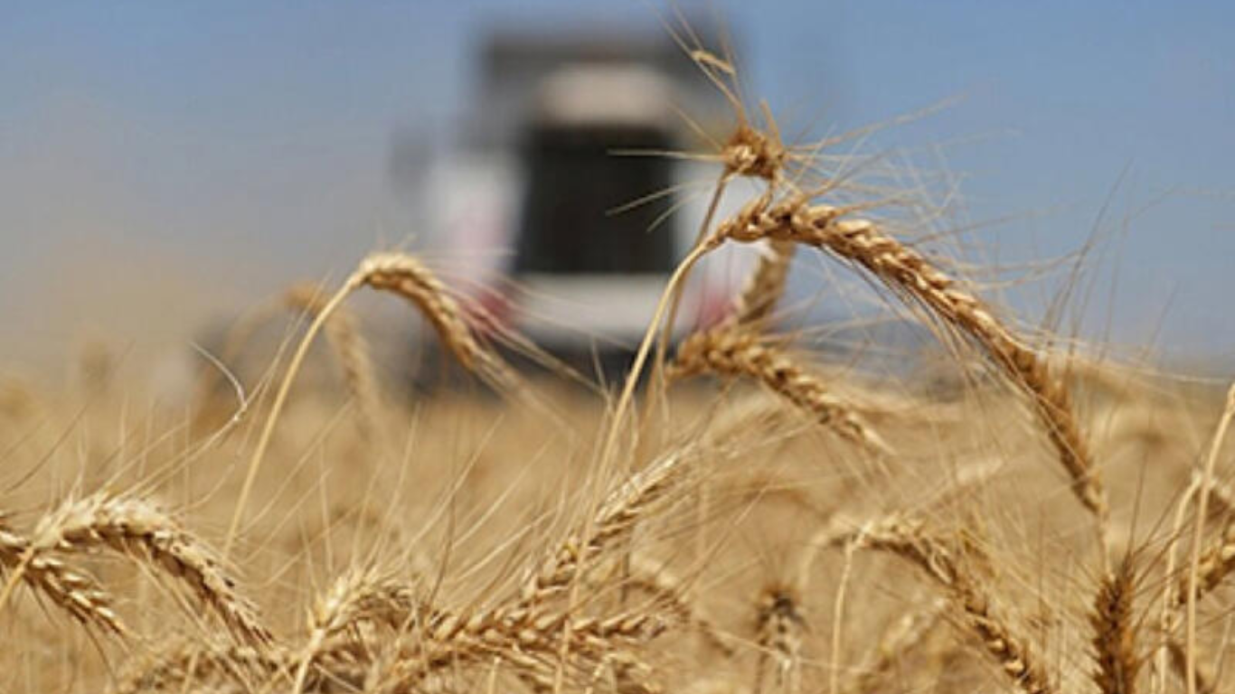 Azerbaijan expands use of locally-developed wheat varieties