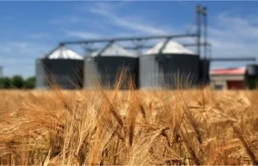 Azerbaijan builds food security through regional transport links