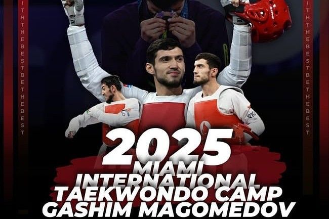 National taekwondo fighter to give master class in United States