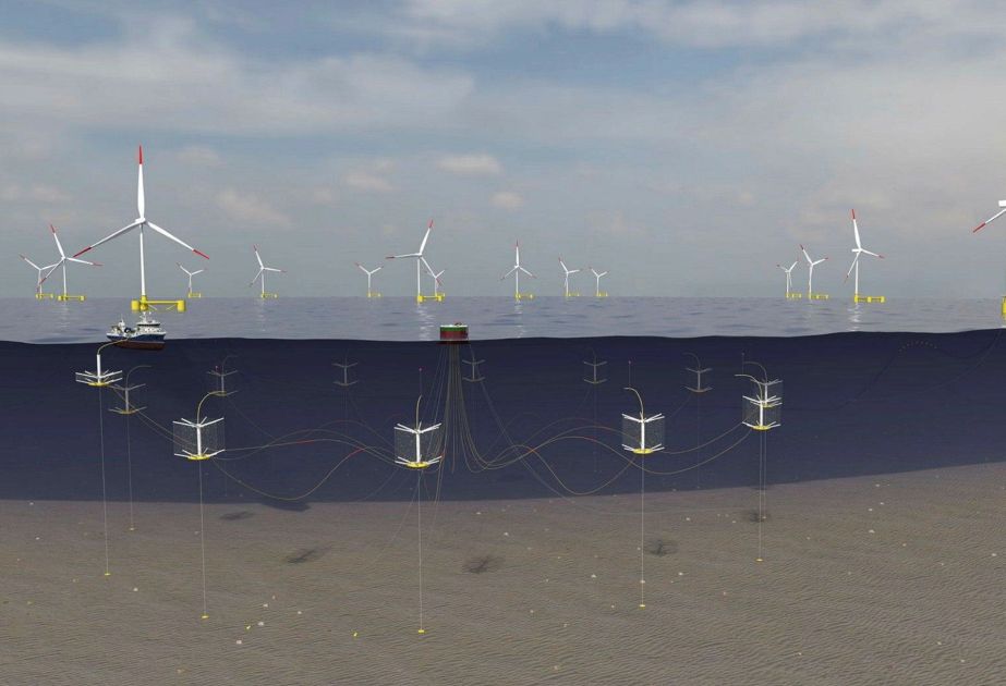 Sweden to merge wind farms with salmon farming