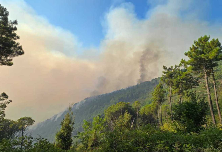 Massive forest fire erupts at foot of Mount Vesuvius