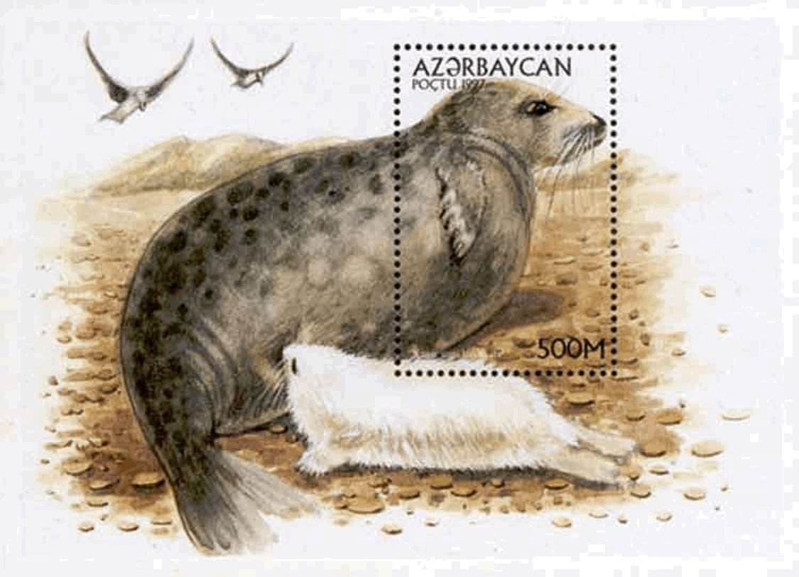 Slider Image 1