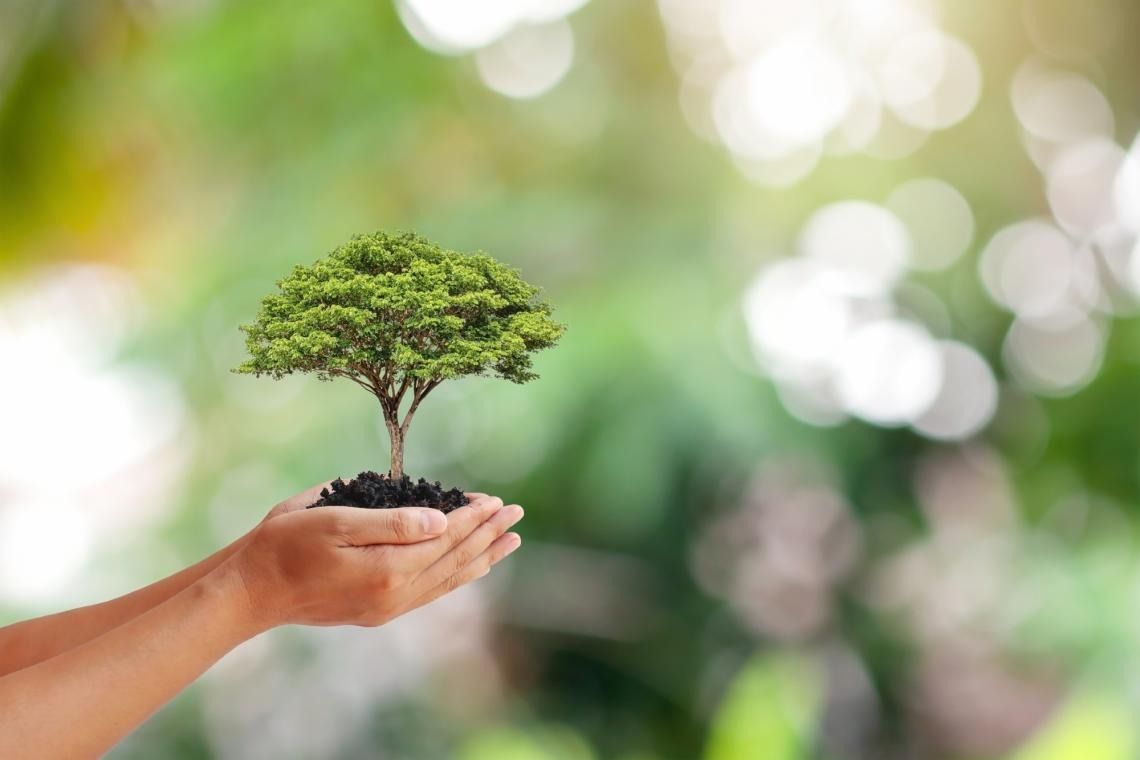 Environmental protection expenses announced in Azerbaijan for last year