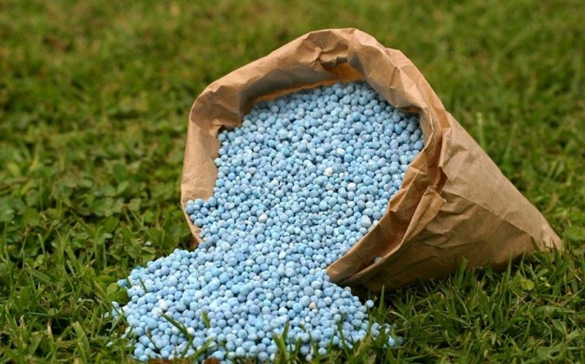 Azerbaijan strengthens role in global fertilizer supply